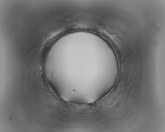 X0000115761303200912041402