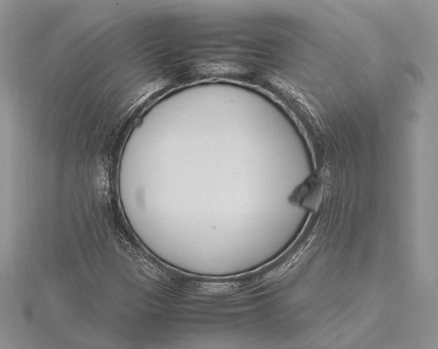 X0000115761305200912041402