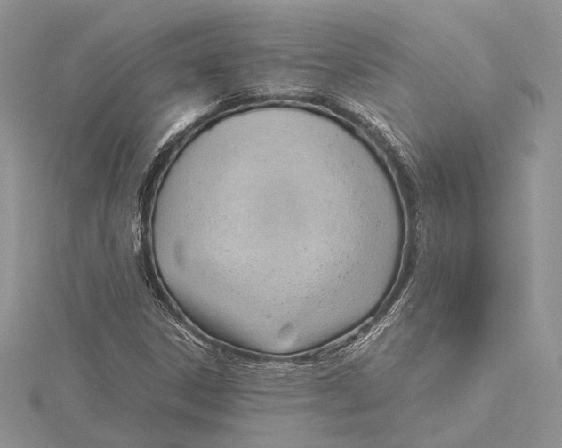 X0000115761306200912041402