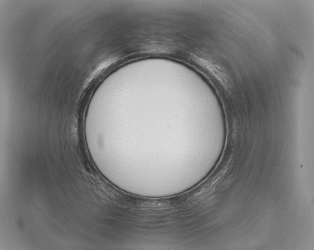 X0000115761307200912041402