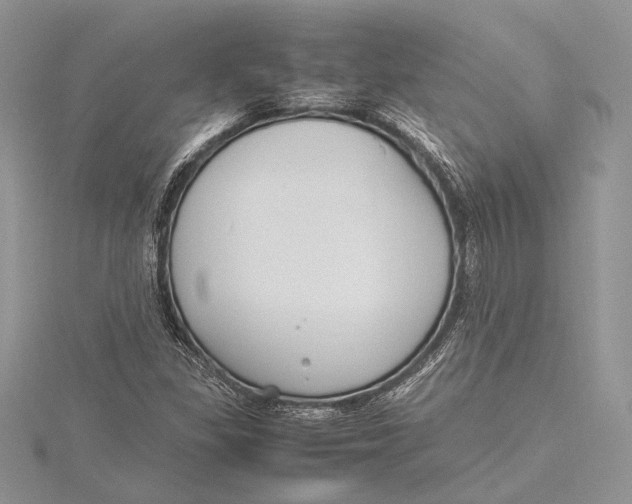 X0000115761309200912041402