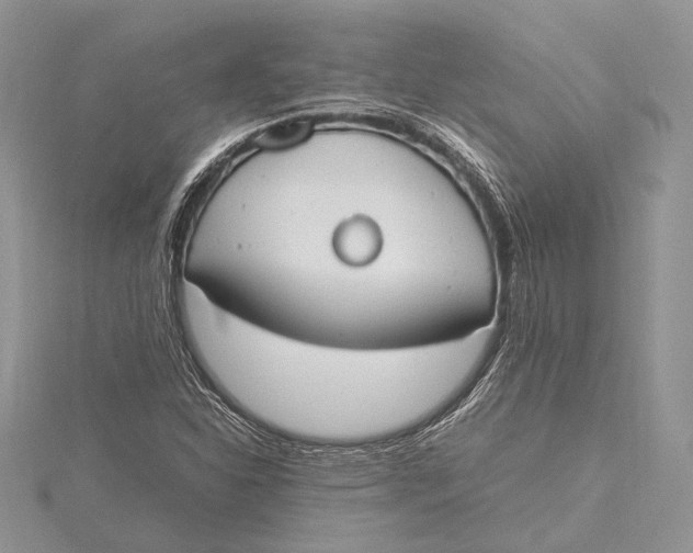 X0000115761310200912041402