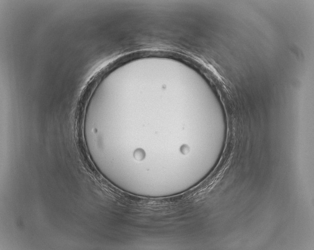 X0000115761311200912041402