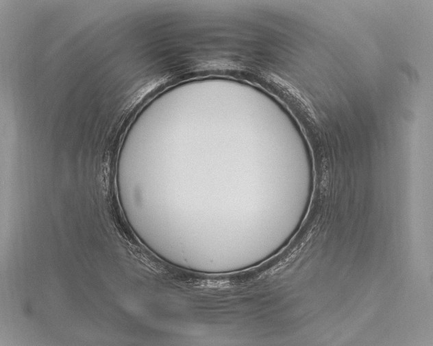 X0000115761313200912041402