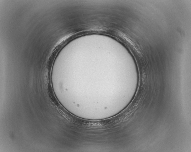 X0000115761315200912041402