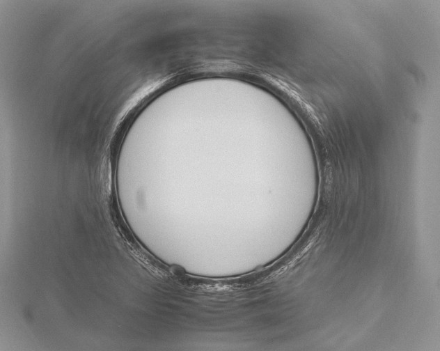 X0000115761317200912041402