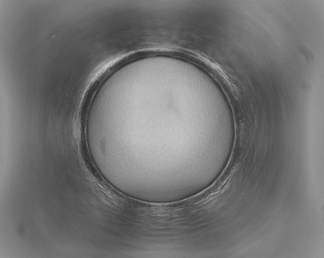 X0000115761319200912041402