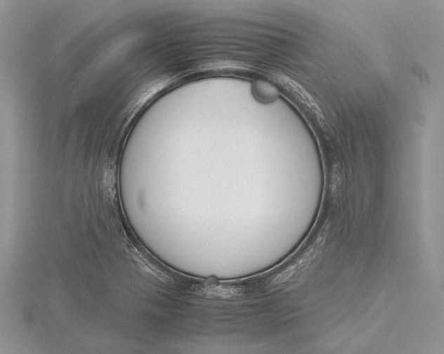 X0000115761321200912041402