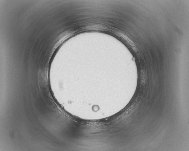 X0000115761322200912041402