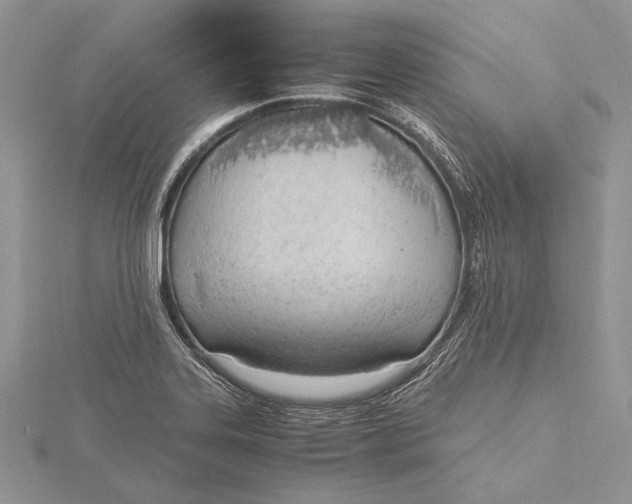 X0000115761323200912041402