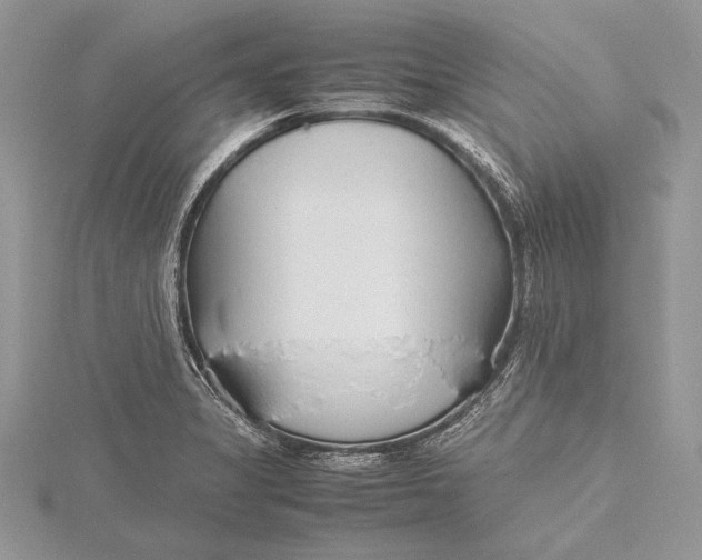 X0000115761325200912041402