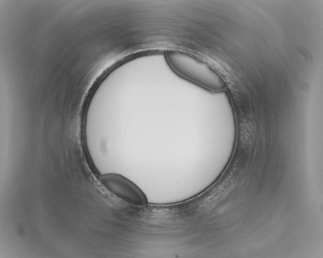 X0000115761326200912041402