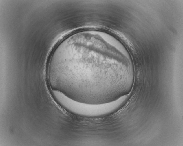 X0000115761327200912041402