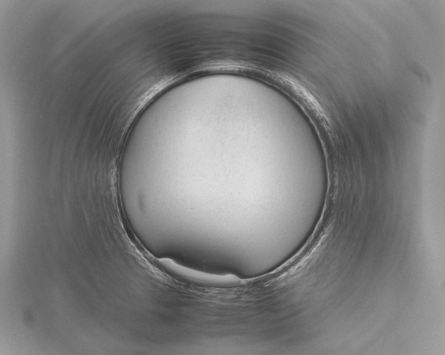 X0000115761329200912041402