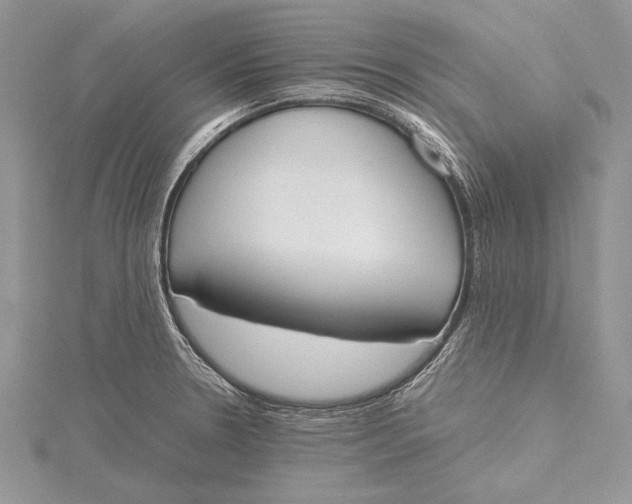 X0000115761330200912041402