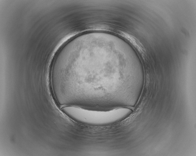 X0000115761331200912041402