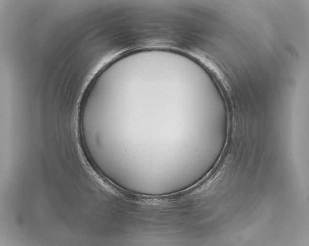 X0000115761333200912041402