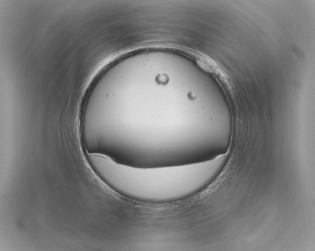 X0000115761334200912041402