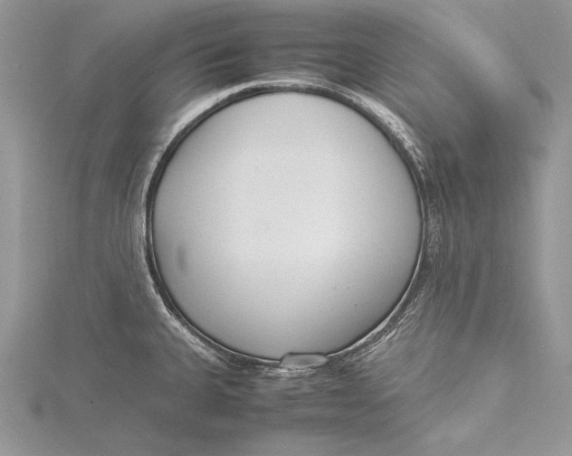 X0000115761335200912041402