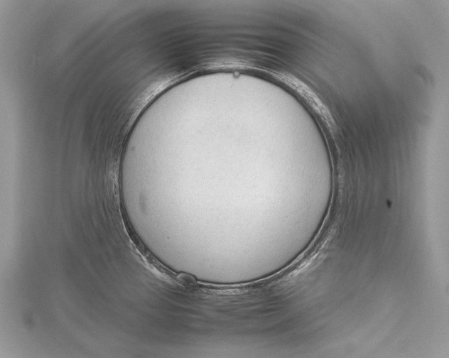 X0000115761337200912041402