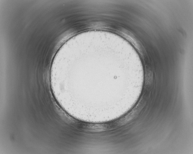 X0000115761338200912041402