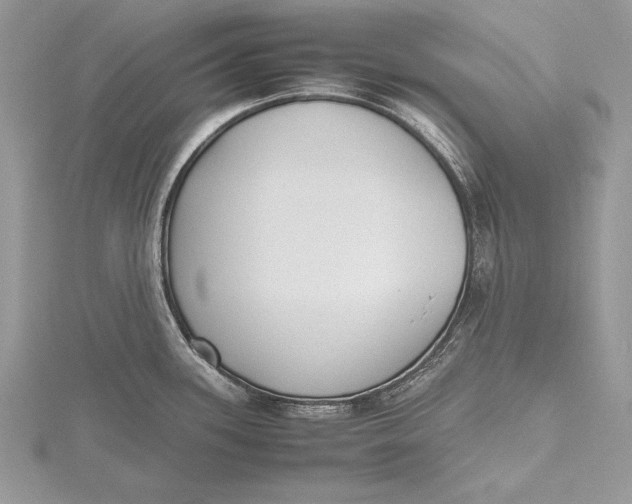 X0000115761339200912041402