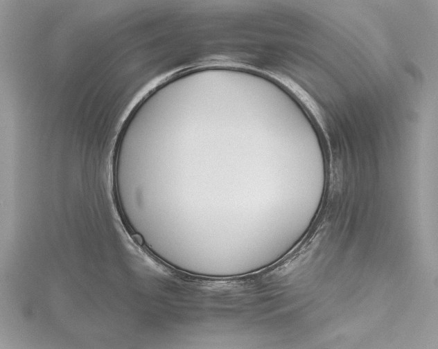 X0000115761341200912041402