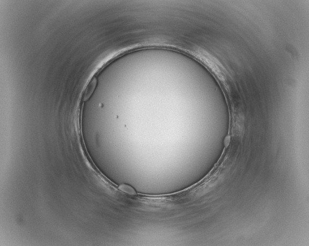 X0000115761342200912041402