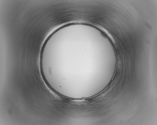 X0000115761343200912041402