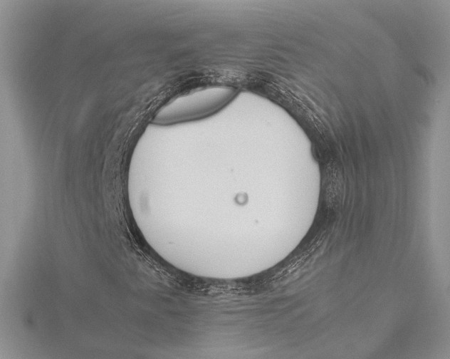 X0000115761345200912041402