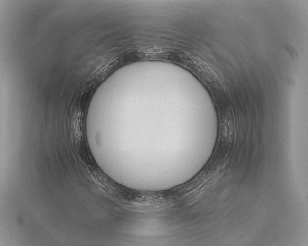 X0000115761346200912041402