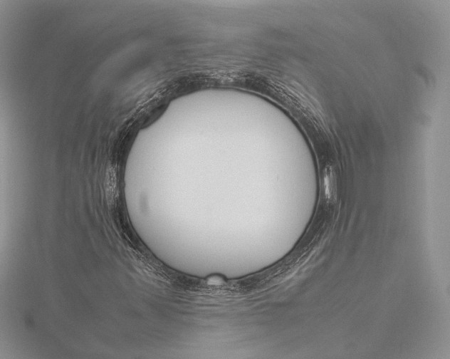 X0000115761347200912041402