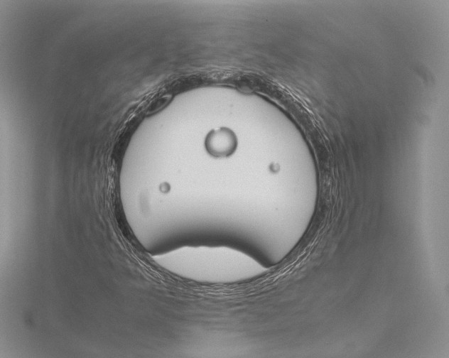 X0000115761349200912041402