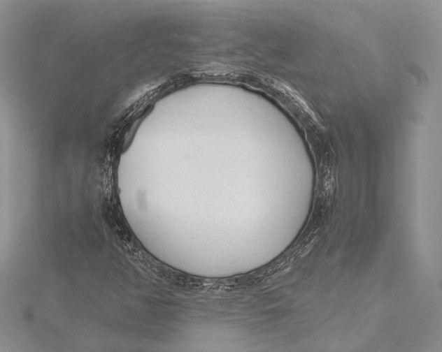 X0000115761350200912041402