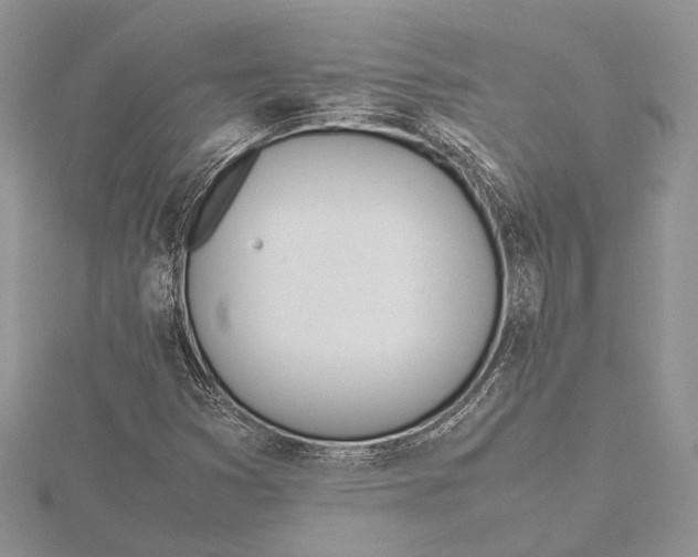 X0000115761353200912041402