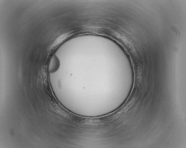 X0000115761354200912041402