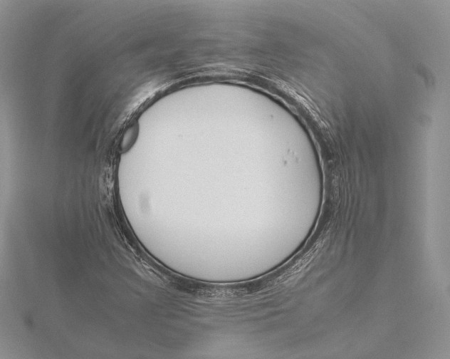 X0000115761355200912041402