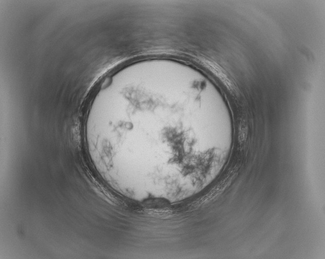 X0000115761356200912041402