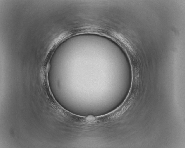 X0000115761357200912041402