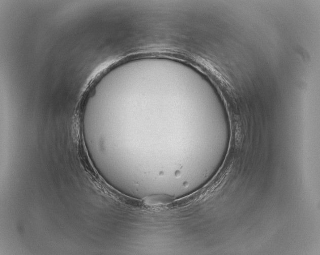 X0000115761358200912041402