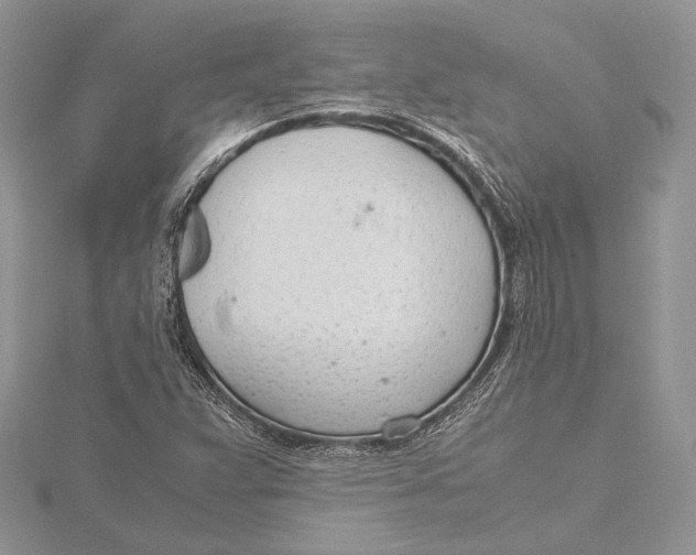 X0000115761359200912041402