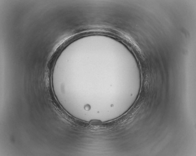 X0000115761360200912041401