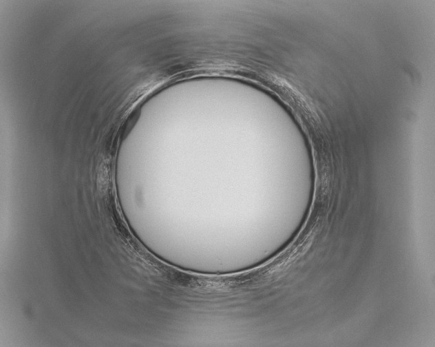 X0000115761361200912041401