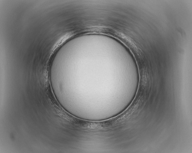 X0000115761362200912041401