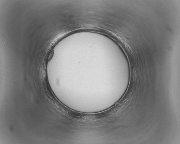 X0000115761363200912041401