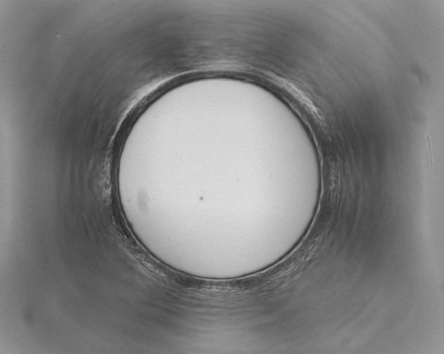 X0000115761364200912041401