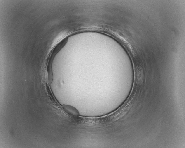 X0000115761365200912041401