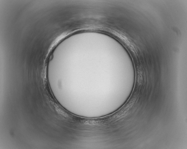 X0000115761366200912041401