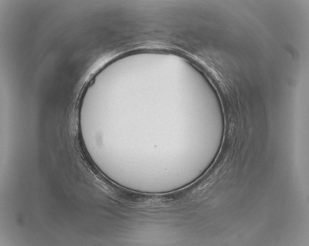 X0000115761367200912041401