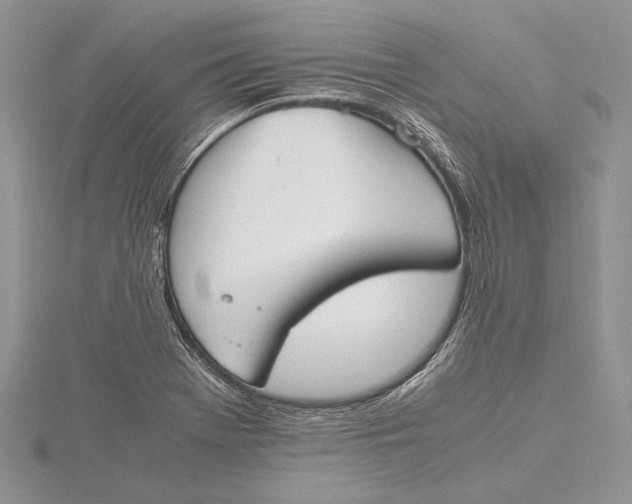 X0000115761369200912041401